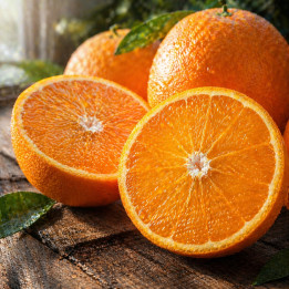 Naranjas de mesa valencianas recién recogidas del árbol en Almazora, Castellón