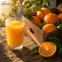 Naranjas para zumo valencianas 5kg