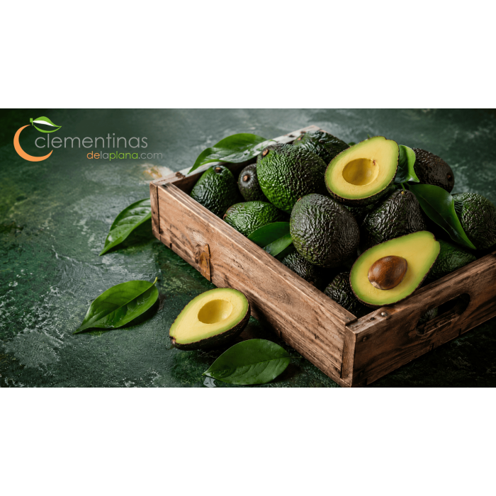 Aguacate Hass cortado por la mitad mostrando pulpa cremosa y hueso