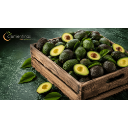 Aguacates Hass y mandarinas valencianas frescos recién recogidos del campo