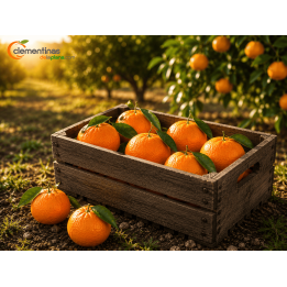 Mandarinas Valencianas 5 kg