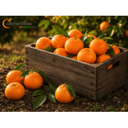 Mandarinas Valencianas 10 kg