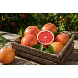 Pomelos Valencianos 5kg
