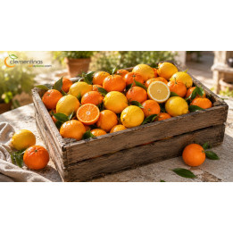 Caja mixta de mandarinas y limones valencianos recién recogidos del árbol en Almazora, Castellón