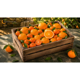 Caja Mixta 15kg Naranjas y Mandarinas