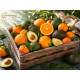 Caja mixta de aguacates Hass y naranjas valencianas recién recogidos del árbol en Almazora, Castellón