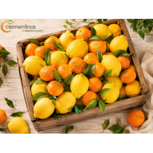 Caja 10kg Limones + Mandarinas