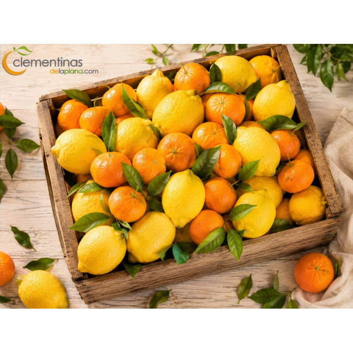 Caja mixta de 10kg con limones y mandarinas clementinas valencianas recién recolectadas