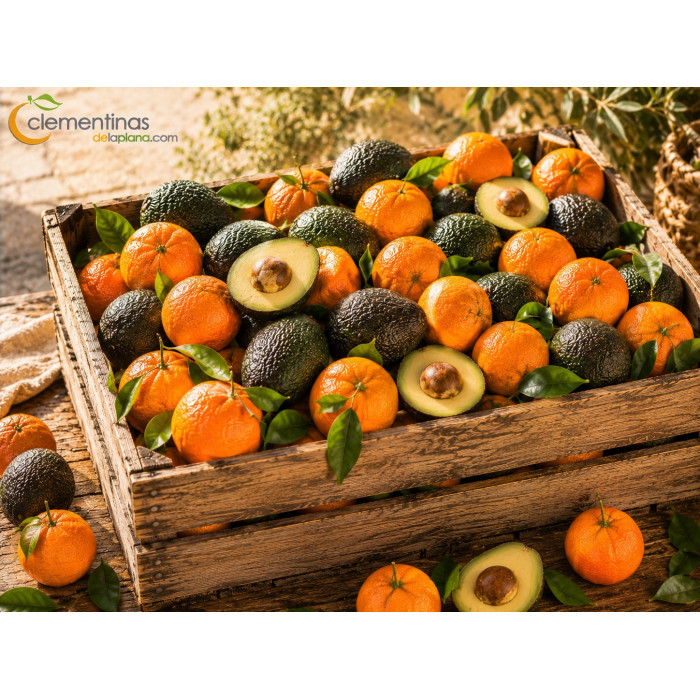 Caja mixta de 15kg con aguacates Hass de Castellón y mandarinas clementinas valencianas recién recolectadas