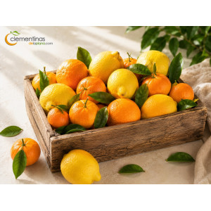 Caja Mixta 5kg Limones y Mandarinas