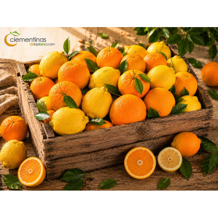 Caja mixta de 10kg con limones y naranjas valencianas recién recolectadas