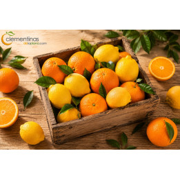 Caja mixta de limones y naranjas valencianas recién recolectadas