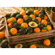 Caja mixta de 10kg con aguacates Hass de Castellón y naranjas valencianas recién recolectadas
