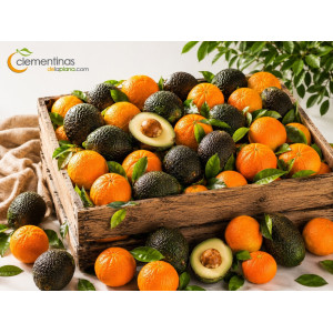 Caja Mixta 15kg  Aguacates y Naranjas