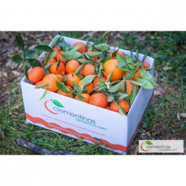 15 kg Mandarina Clemenules