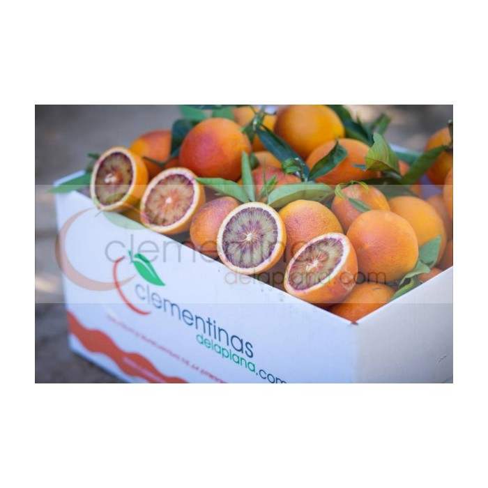 Comprar Naranjas De Sangre Online Caja 15 Kg Clementinas De La Plana