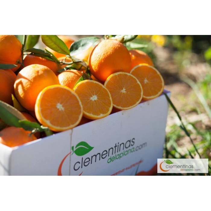 Comprar Mandarinas Clemenules Caja 15 Kg Clementinas De La Plana