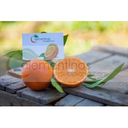 Mandarina especial zumos