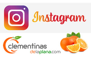 Clementinas de la Plana - Instagram