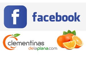 Clementinas de la Plana - Facebook